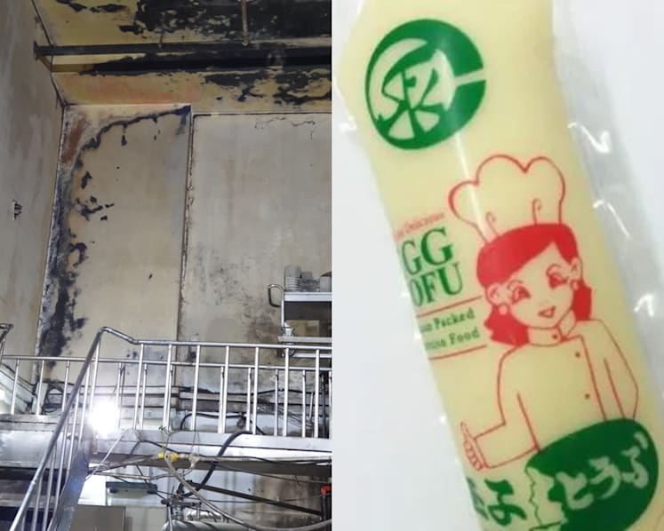 Tofu manufacturer fined for hygiene lapses including 'widespread' cockroach infestation
