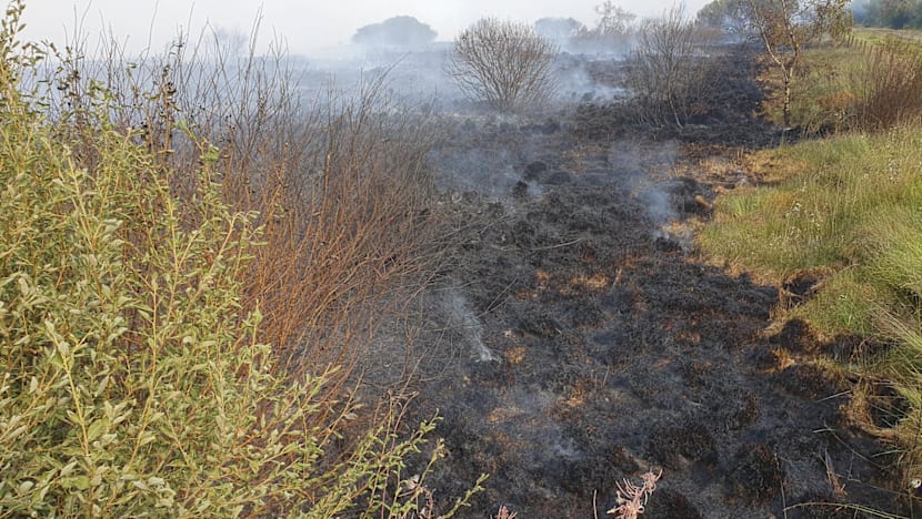 Residents evacuate as Belgium wildfire scorches 1,600 hectares