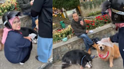 Gambar Pilihan Hari Ini