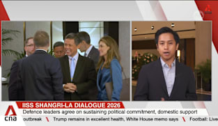Defence ministers at Shangri-La Dialogue agree on importance of credible ties to secure global peace 