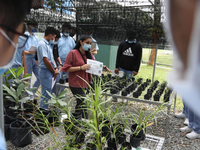 Commentary: Sustainability starts in schools, but first we need a more holistic approach to education Commentary: Sustainability starts in schools, but first we need a more holistic approach to education