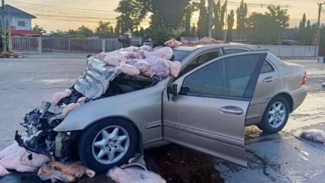 泰国轿车撞载肉货车 猪肉四溅 八人受伤