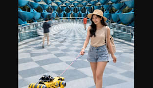 செந்தோசாவின் புதிய நண்பன்: வரவேற்கக் காத்திருக்கும் Robodog!