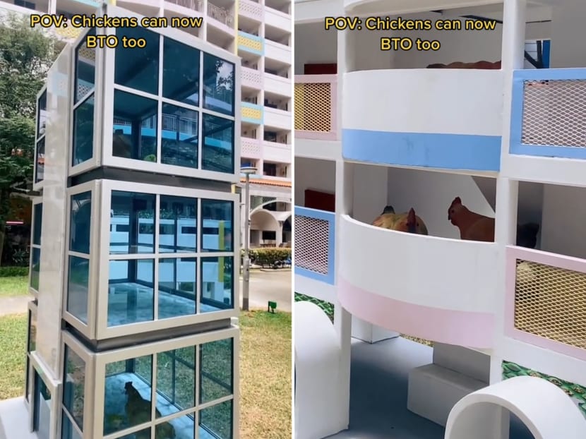 Screenshots from a TikTok video where "chickens" can be seen living in miniature structures that look like residential buildings.