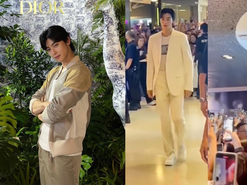 'We waited for 2 hours just to see him for 3 secs': Singaporeans flock to Ion Orchard to see Cha Eun Woo