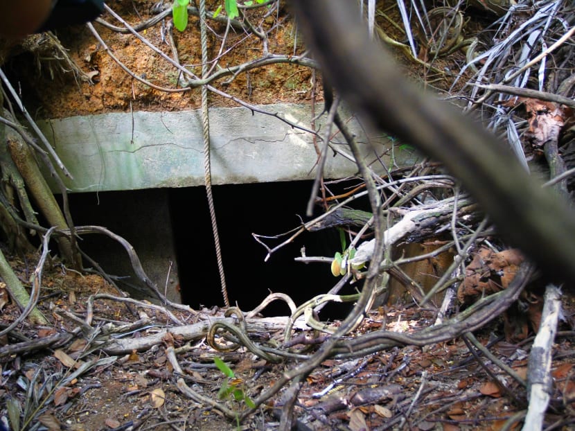 Abandoned war site at Marsiling added to list of NHB guided tours