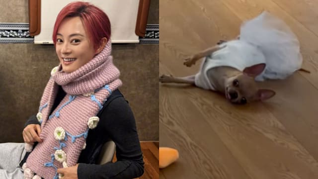 视后家的狗也会演！孙俪爱犬“装死”吓疯邓超
