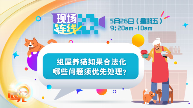 【预告】组屋养猫如果合法化 哪些问题须优先处理？