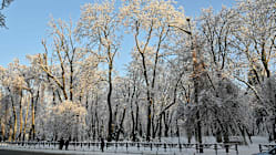 Related article image