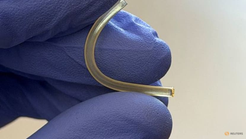 Space station bioprinting experiment advances quest for lab-grown tissues, company says