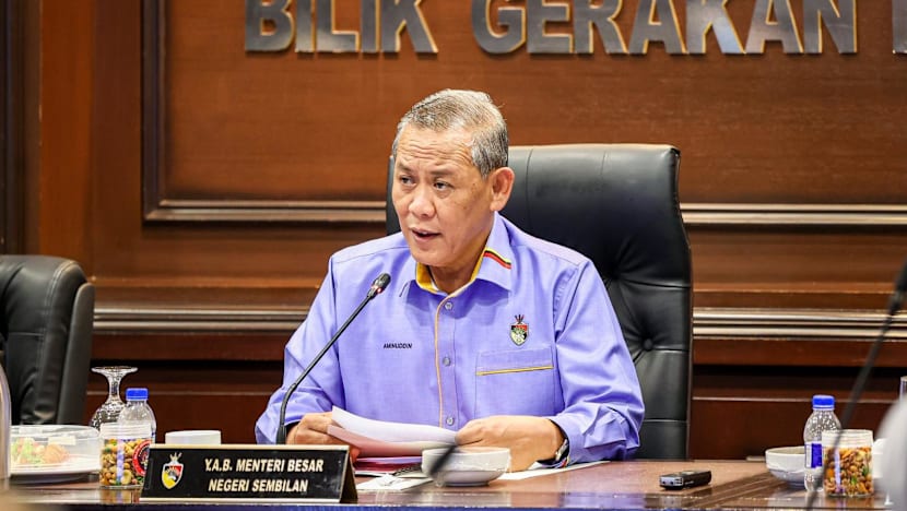  Negeri Sembilan state assembly to be dissolved on Jun 5; polls to be held within 60 days 