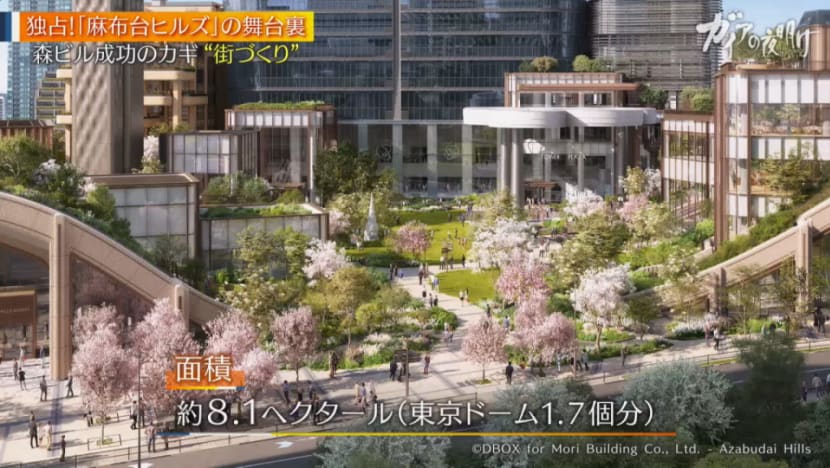 Gaia Series 38: The Great Remodeling Of Tokyo