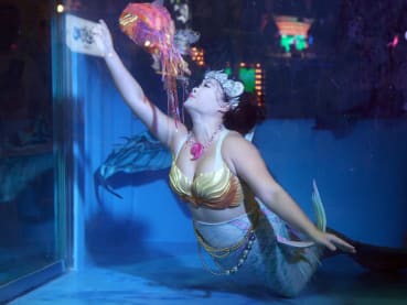 Catch mermaid shows with aquatic artists at Cosford Container Park starting May 31