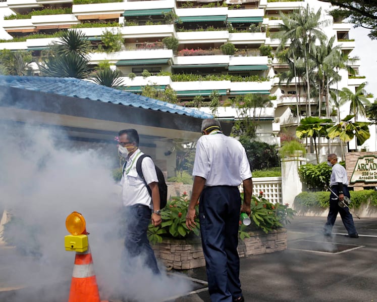 30 mosquito-breeding spots destroyed in Watten Estate area