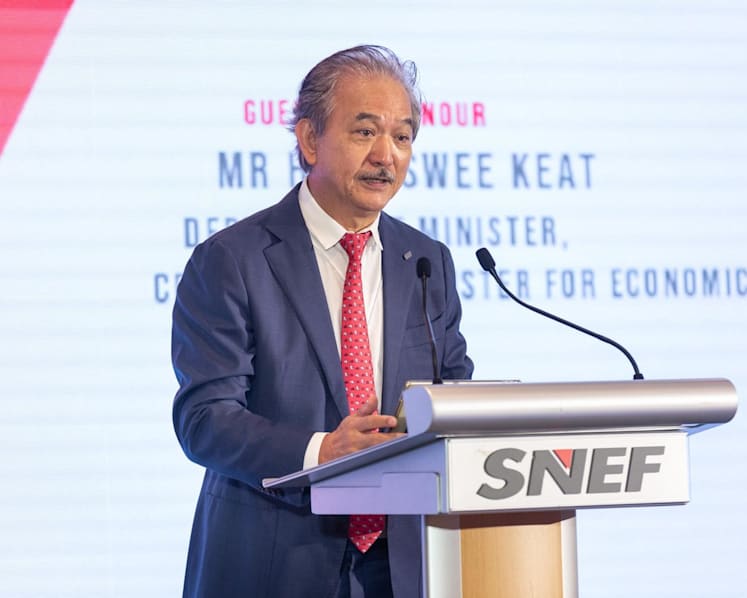 No suspicious activities found at SNEF after 'governance procedural lapse' led to Robert Yap's resignation as president