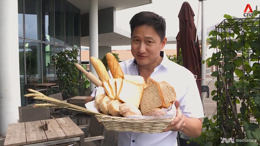 Wholemeal or multigrain? The truth about ‘healthier’ breads Wholemeal or multigrain? The truth about ‘healthier’ breads