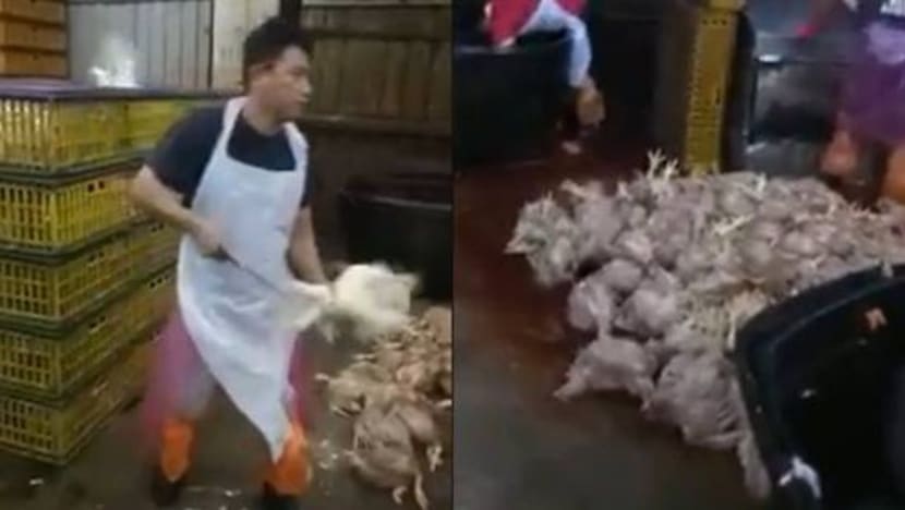 Pusat sembelih ayam disiasat selepas video tular