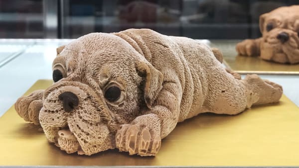 Popular Puppy Shaped Ice Cream Now Sold In Singapore As A Cake 8days