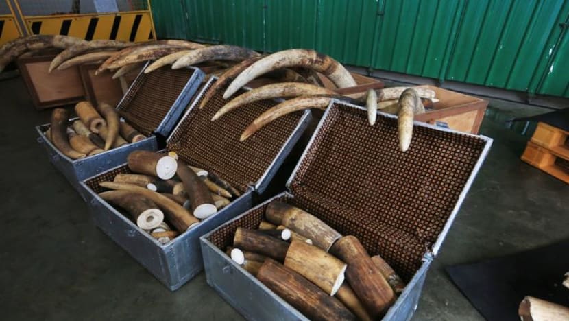 Parliament in brief: 3 things you should know