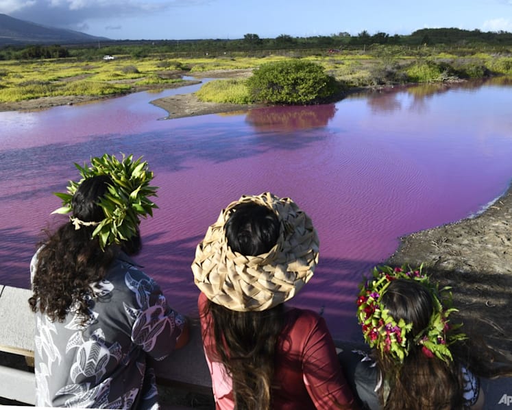 Wildlife refuge pond in Hawaii mysteriously turns bright pink, drought may be to blame
