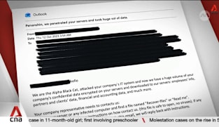 Leaked documents suggest 255 Singapore firms linked to critical infrastructure hit