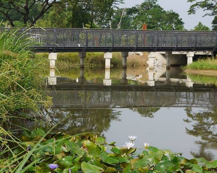 Student gets probation for hitting NParks officer when caught fishing illegally at Sungei Buloh