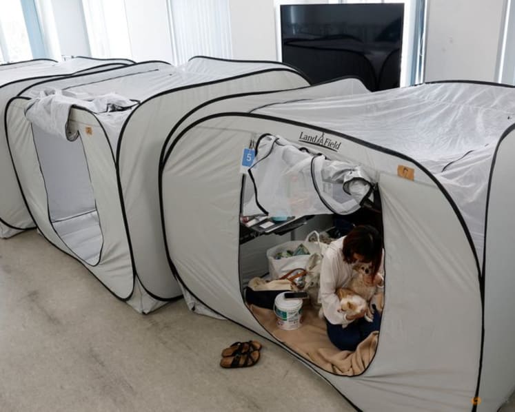 Dogs allowed: Animal hospital opens doors to Japan quake survivors and their pets