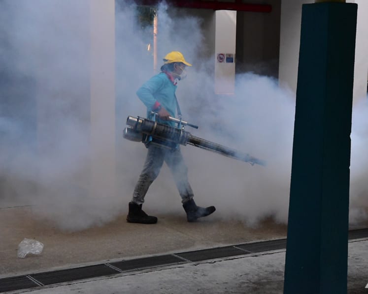 Weekly dengue cases fall below 600 in September, but continued vigilance is critical: NEA