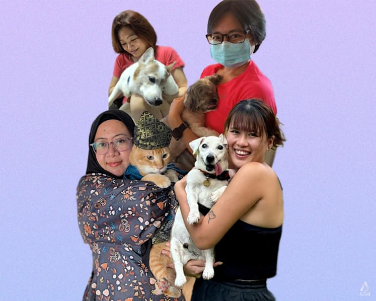 These women give blind, ageing and terminally ill pets a home – when no one else will