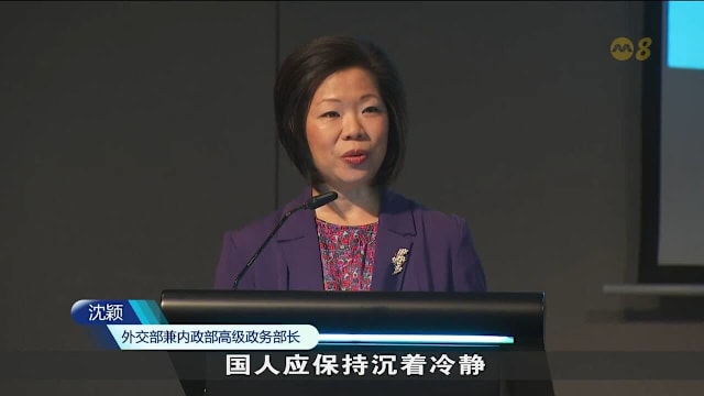 沈颖：与他国意见不同时 国人应冷静理解政府立场