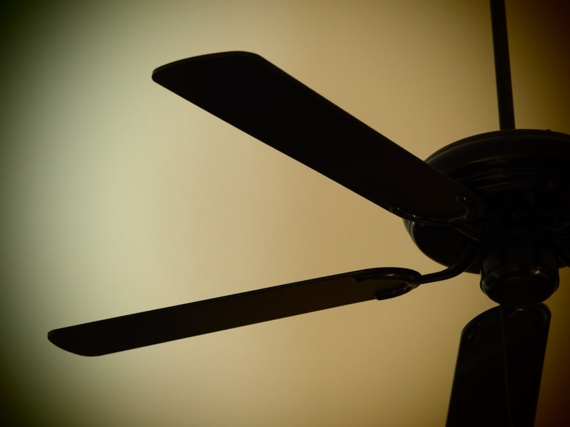 Elmark Marketing, which distributes fans in Singapore and has a store in Ubi, is recalling 17 models of ceiling fans.