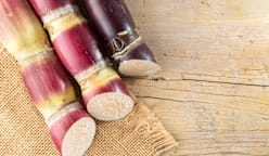 கரும்பு - தகவல்கள் தெரியுமா?