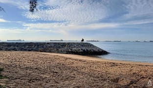 New Bill to require landowners on Singapore's coast to put up, upgrade defences against rising sea levels