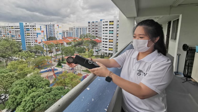 Wolbachia mosquitoes to be released at 5 new sites in Singapore to tackle dengue Wolbachia mosquitoes to be released at 5 new sites in Singapore to tackle dengue