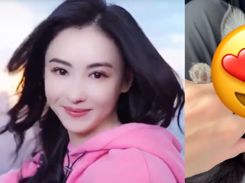 Cecilia Cheung, 42, Has A New Kid And She’s So Cute Cecilia Cheung, 42, Has A New Kid And She’s So Cute