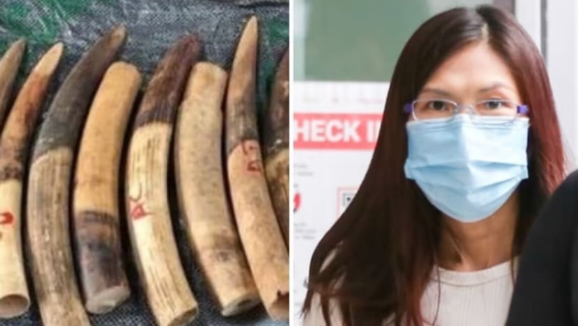 Trading firm director gets jail over import of nearly 1,800 elephant tusks into Singapore from Africa