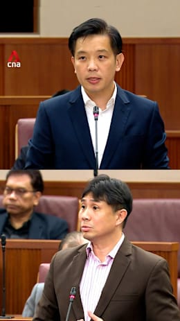Alvin Tan clarifies incident raised by Jamus Lim on AVS’ handling of pet owner complaints