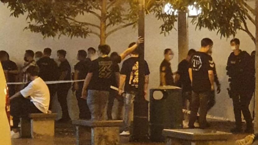 11 men arrested near Central Mall for affray, disorderly behaviour in late night brawl