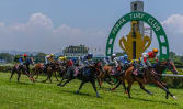 Selangor, Perak turf clubs fight for horse racing’s future in Malaysia – with pickleball courts and car showroom