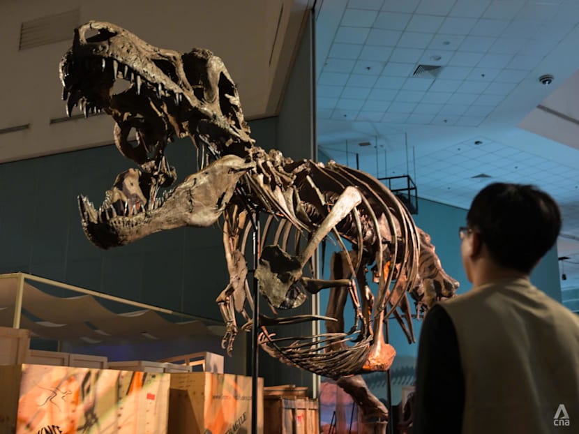Science Centre Singapore's largest-ever dinosaur showcase features 33 rare fossils and 60 full-scale models