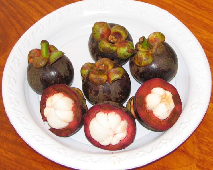 Mangosteens could be the cure to TB, say NUS researchers