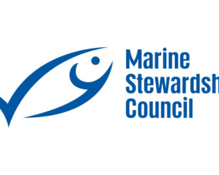 Sustainable seafood matters to eight in ten consumers, leading to calls for retailers to support sustainable choices