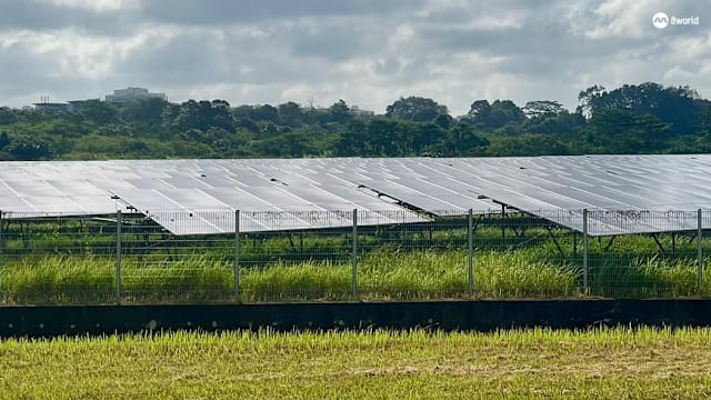 三巴旺空军基地太阳能发电场投入运作 武装部队实现太阳能部署目标