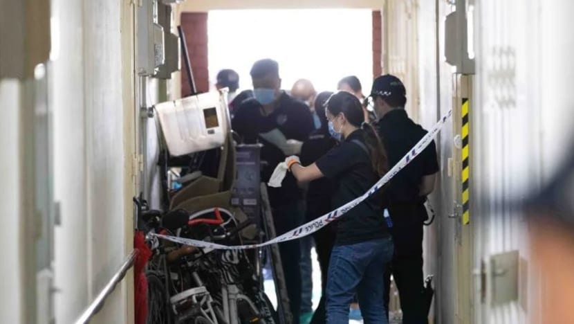 Lelaki didakwa bunuh penyewa tinggal sebumbung dengannya di Redhill direman lanjut bagi penilaian psikiatrik Lelaki didakwa bunuh penyewa tinggal sebumbung dengannya di Redhill direman lanjut bagi penilaian psikiatrik