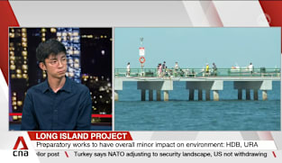 Long Island project to have minor impact on environment but longer-term ecological questions remain