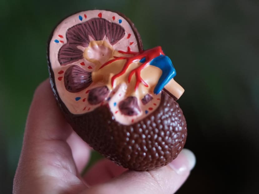 Commentary: 'Kidney tsunami' looming large — why even the young should take action now Commentary: 'Kidney tsunami' looming large — why even the young should take action now