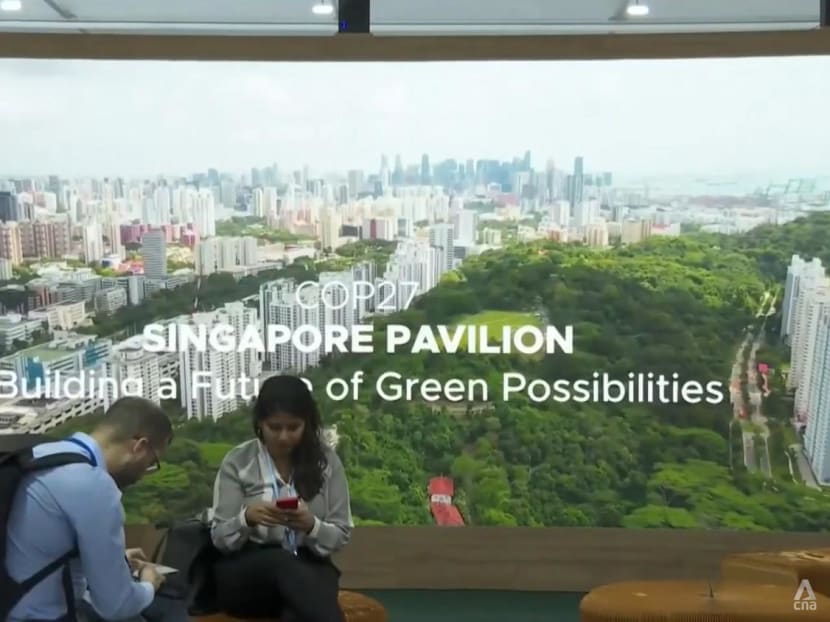 Commentary: How I got from beach clean-ups at Pasir Ris to speaking at COP27 climate summit