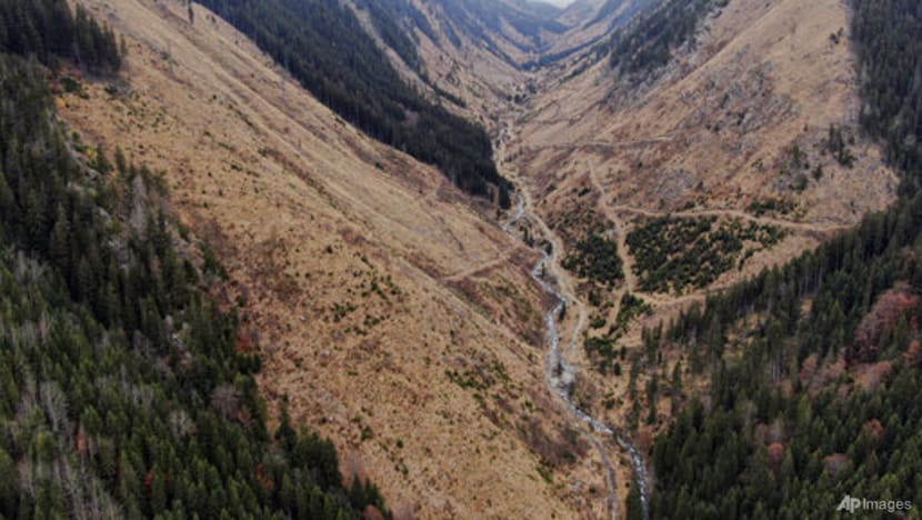 EU’s landmark anti-deforestation law on shaky ground after delay in implementation EU’s landmark anti-deforestation law on shaky ground after delay in implementation