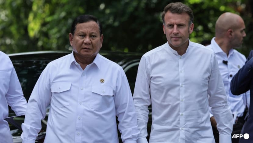 Macron decorates Indonesia leader, announces cultural partnership