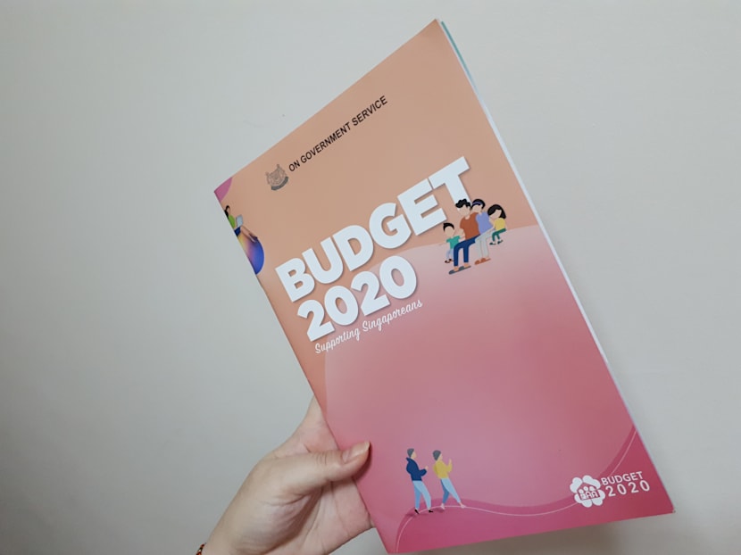 Why send households Budget 2020 booklets in this day and age?